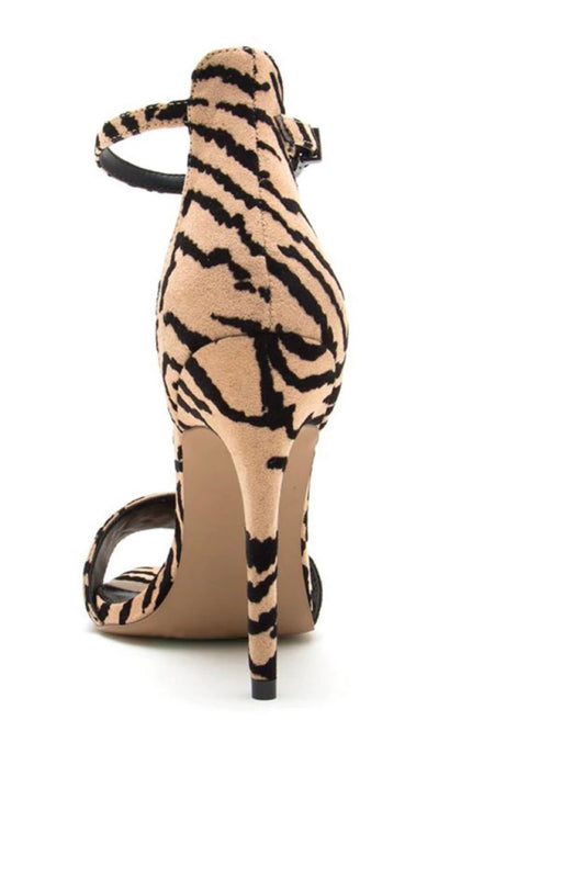 Tanned Zebra